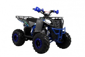 Квадроцикл Wels ATV THUNDER EVO 125 s-dostavka Серый - магазин СпортДоставка. Спортивные товары интернет магазин в Бийске 