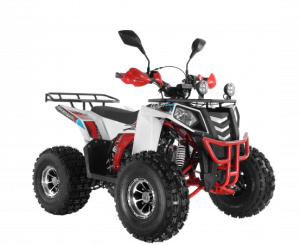 Квадроцикл Wels ATV THUNDER EVO 125 Х s-dostavka Белый - магазин СпортДоставка. Спортивные товары интернет магазин в Бийске 